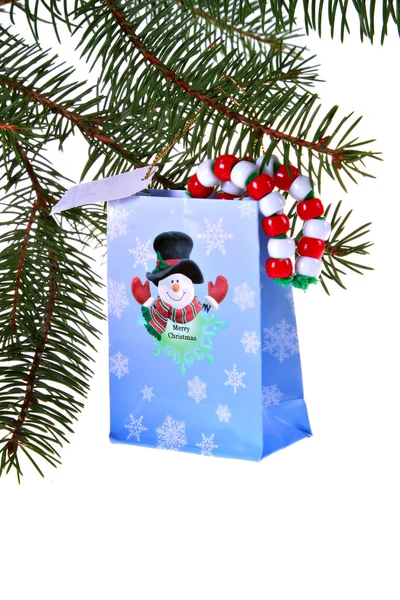 Kerst cadeau zak en pine tree — Stockfoto