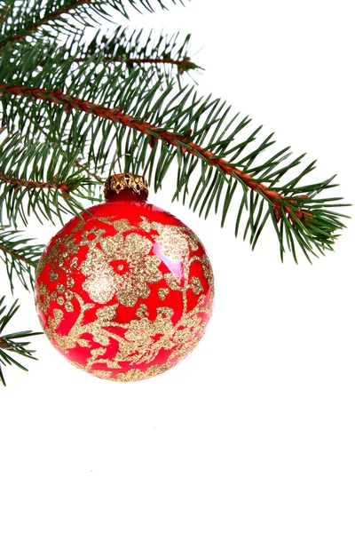 Rode christmast bal op pine branch — Stockfoto