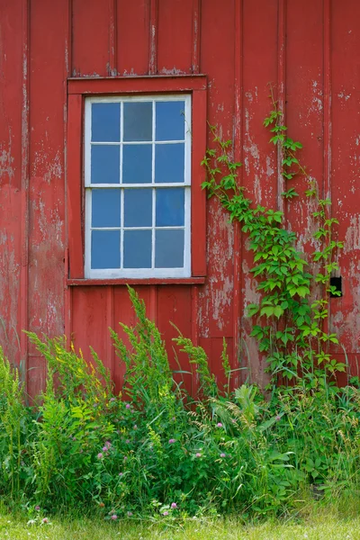 Window of Old Bard House — Stock Photo, Image
