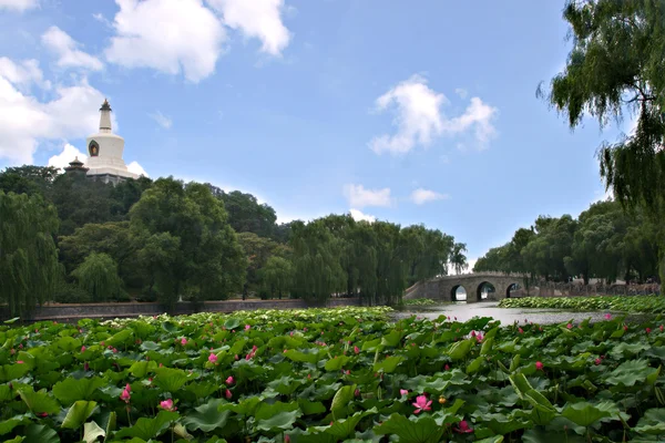 Krásná scéna v Pekingu Imperial Park: Beihai — Stock fotografie