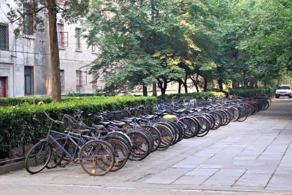 stock image Row of bikes parked behind apartment building