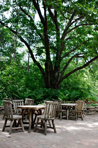 Tables under Big Tree — Stock Photo, Image
