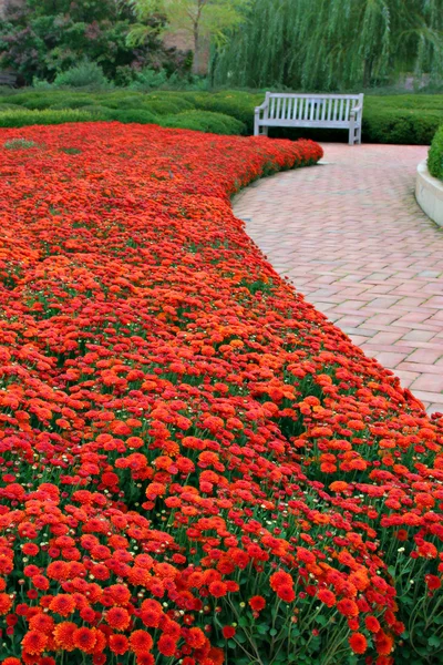 Sonbahar renk Garden — Stok fotoğraf