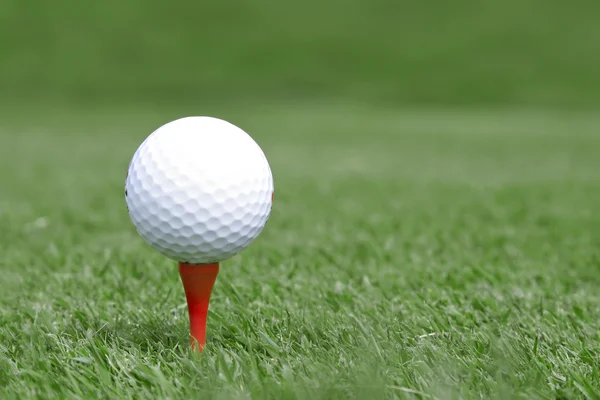 Golfpallo Tiellä — kuvapankkivalokuva