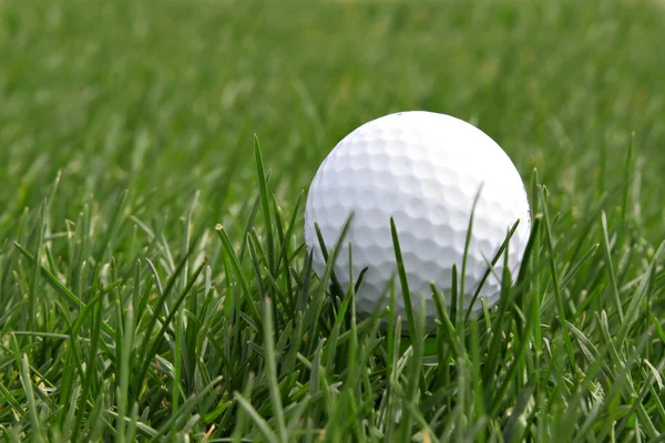 Golf labda a pályán — Stock Fotó