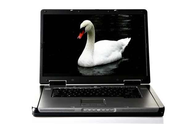 stock image Wide screen laptop computer