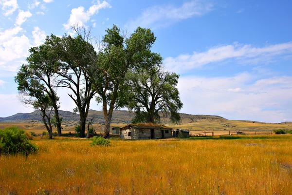 Verlaten bardyard in montana onder de blauwe hemel — Stockfoto