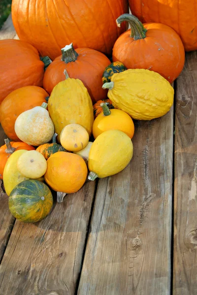 Pumpkins on picnic table — Stock Photo, Image