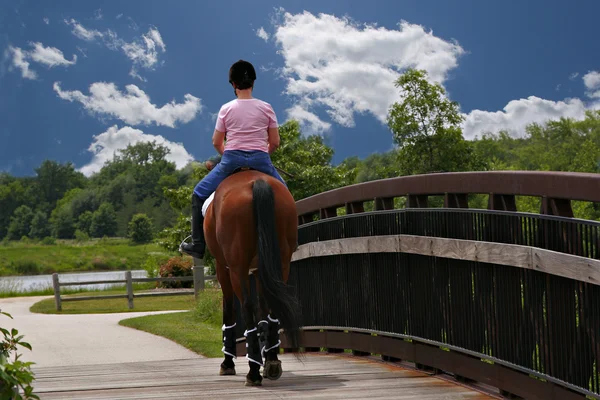 stock image Mid-age female horse ridder