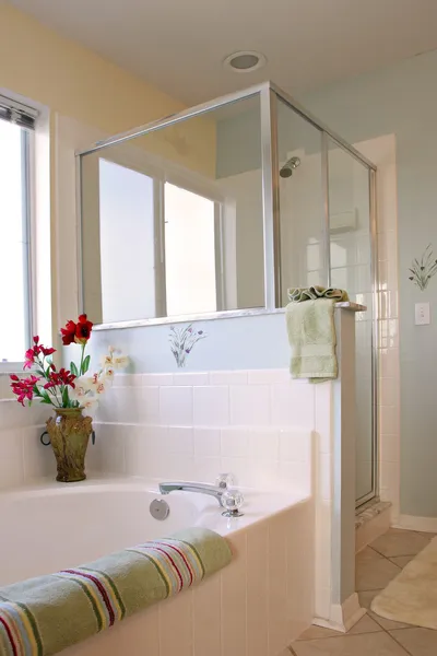 Очистити інтер'єру ванної кімнати Ліцензійні Стокові Фото