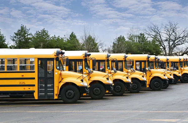 Lijn van schoolbussen Stockfoto