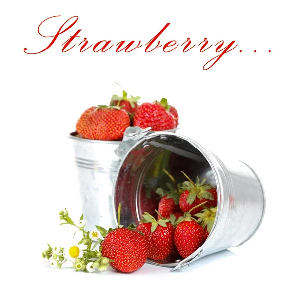 Buckets of strawberries — Stock Photo, Image
