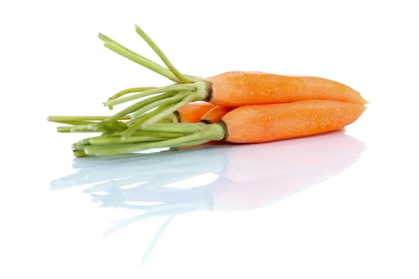Karotten auf Weiß — Stockfoto