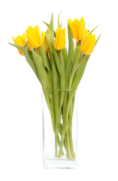 Tulipas amarelas em vaso — Fotografia de Stock