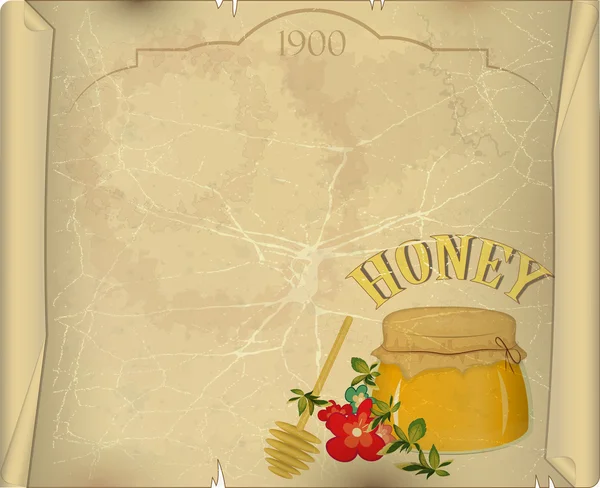 Honig und Blumen auf altem Papier — Stockvektor