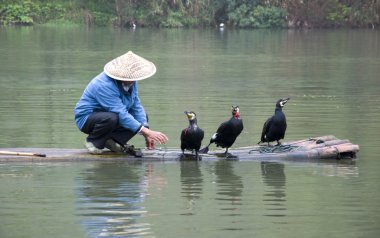 A Chinese fishermen and cormorants clipart