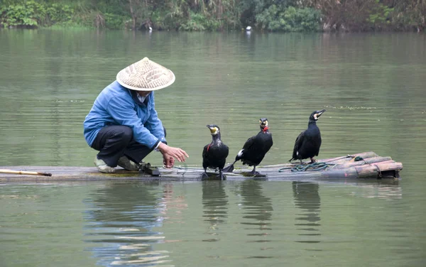 stock image A Chinese fishermen and cormorants