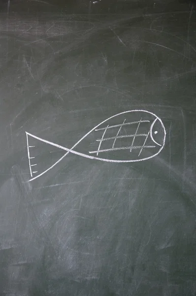 stock image Fish drawn with chalk on blackboard