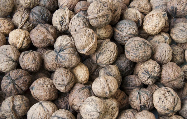 stock image Walnuts