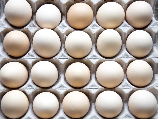 stock image Eggs background
