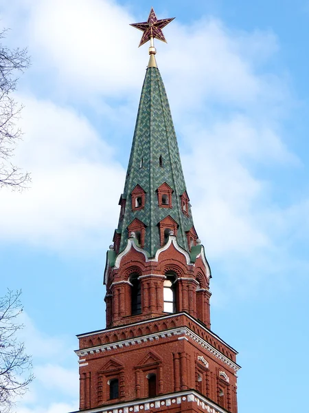 Torre Troitskaya do Kremlin de Moscou 2011 — Fotografia de Stock