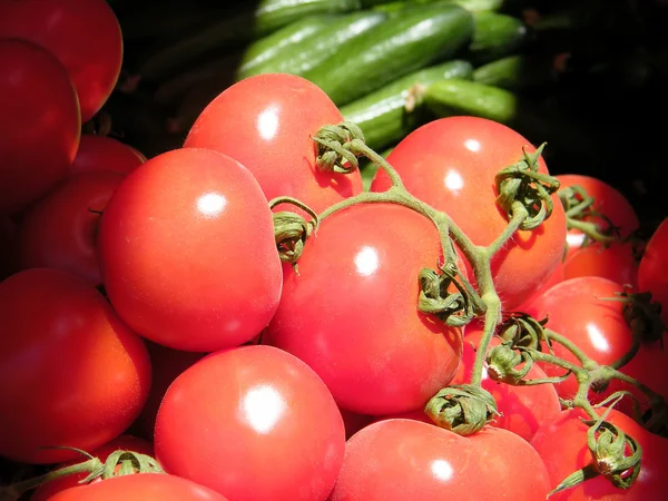 Tel Aviv tomatoes 2011 — Stock Photo, Image