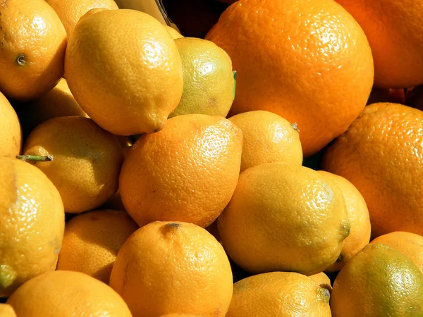 Tel Aviv lemons and oranges 2011 — Stock Photo, Image