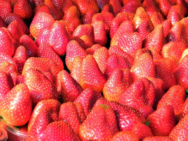 Tel Aviv strawberry 2011 — Stock Photo, Image