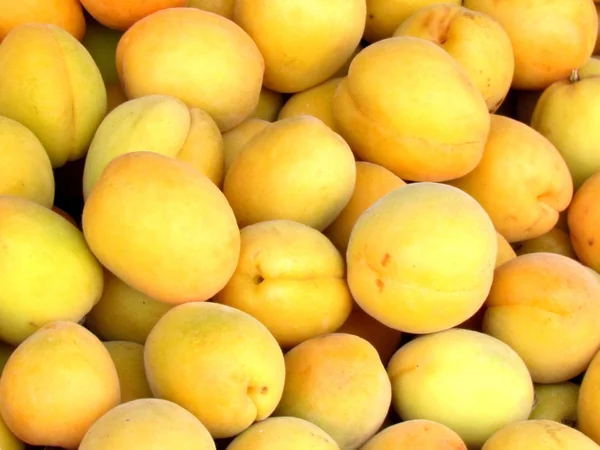 stock image Tel Aviv apricots 2012