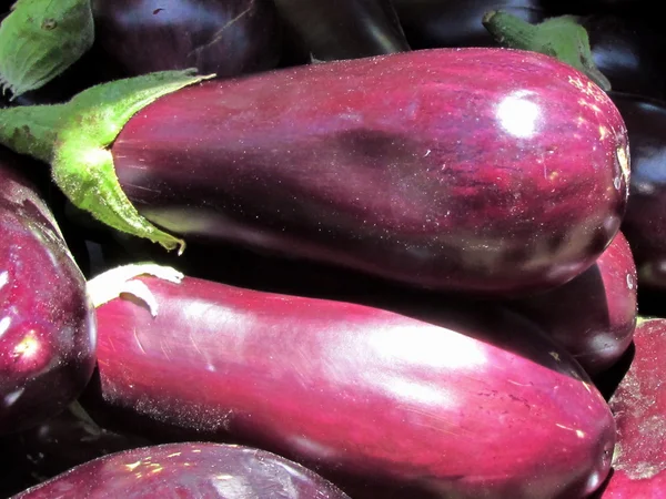 Stock image Tel Aviv Large Eggplants 2012