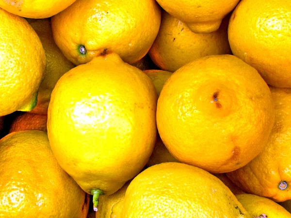 Tel Aviv Large lemons 2012 — Stock Photo, Image
