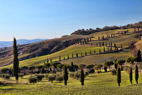Toskania Val d'Orcia Road Cypress Hdr — Zdjęcie stockowe