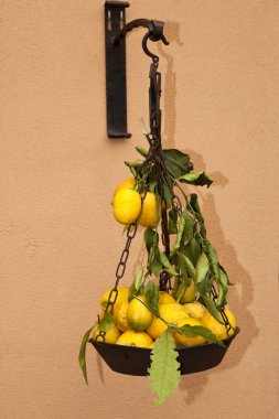 eski ölçek, amalfi coast meyve conta tartmak, tipik