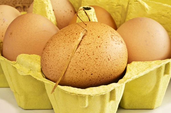 Huevo con caja — Foto de Stock