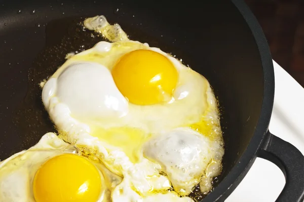 stock image Fried egg