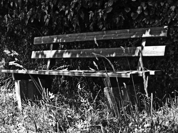 stock image Bench in summertime