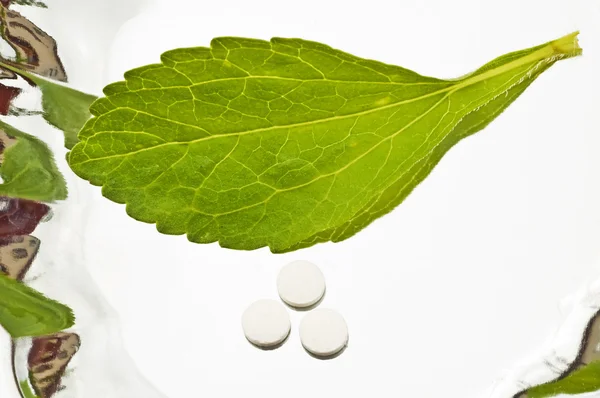Stevia rebaudiana, ondersteuning voor suiker, tabletten — Stockfoto