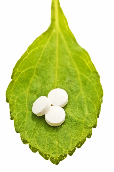 Stevia rebaudiana, soporte para azúcar, tabletas —  Fotos de Stock