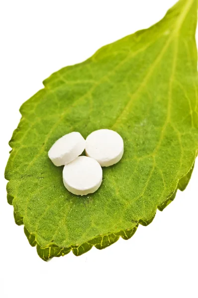 Stevia rebaudiana, soporte para azúcar, tabletas — Foto de Stock