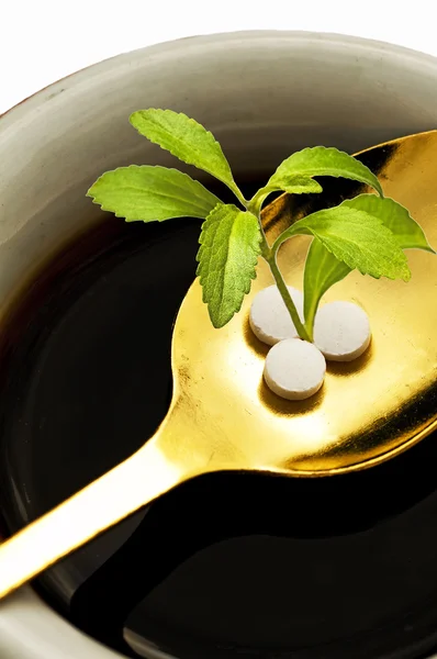 Stevia rebaudiana, ondersteuning voor suiker, tabletten — Stockfoto