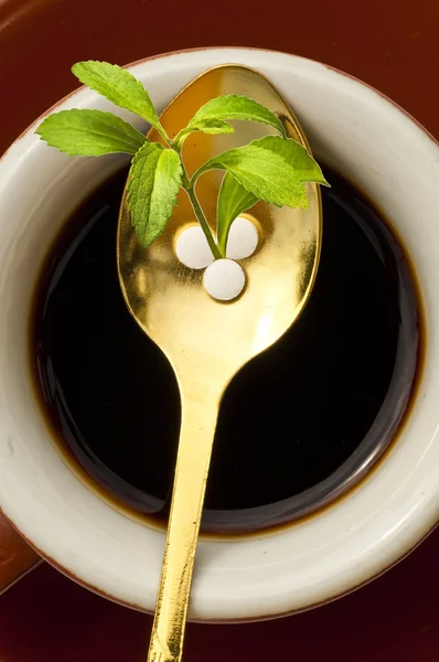 Stevia rebaudiana, dukungan untuk gula, tablet — Stok Foto