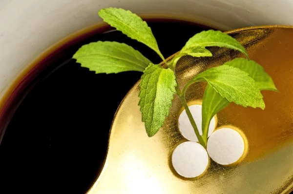 Stevia rebaudiana, support pour le sucre, comprimés — Photo