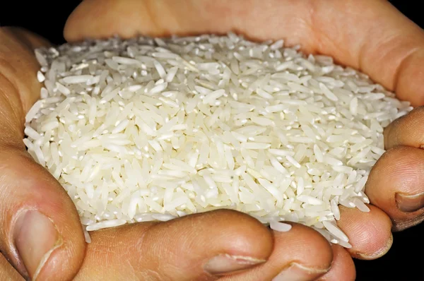 Stock image Rice in open hands