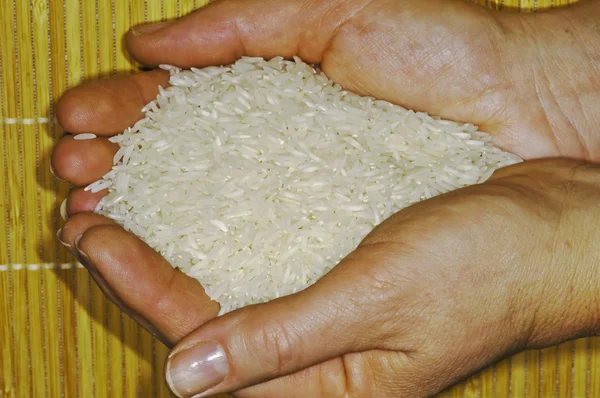 stock image Rice in open hands