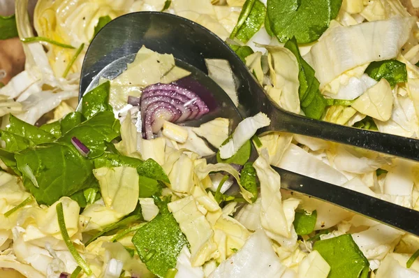 Salad of chicory and purslane — Stock Photo, Image