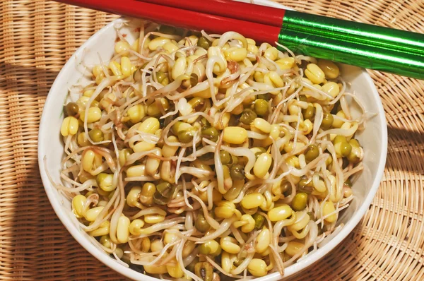 stock image Soybean sprout