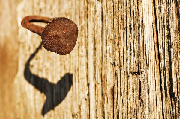 stock image Odd nail