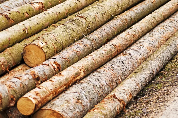 木材木材 — ストック写真