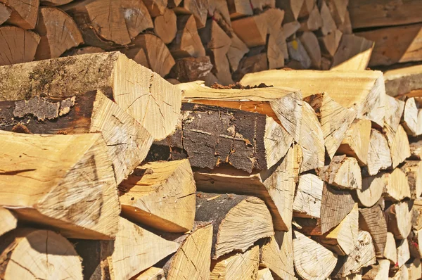 燃料木材 — ストック写真