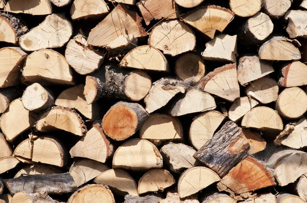 Firewood stacked in a pile — Stock Photo, Image